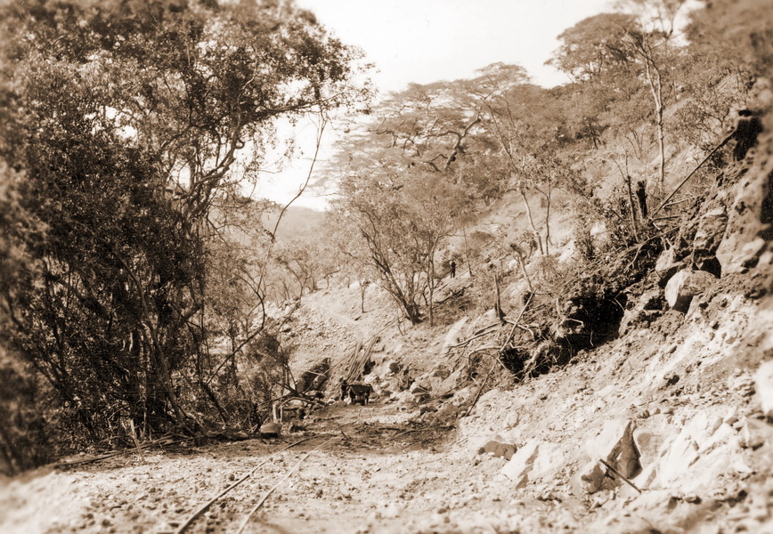 slideshow image
