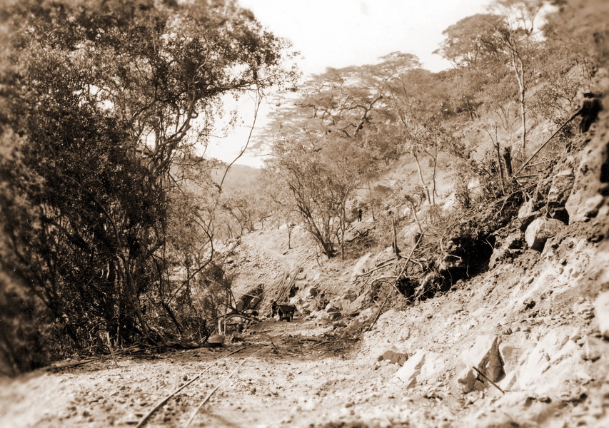 slideshow image