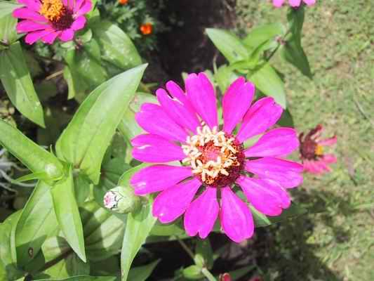 slideshow image