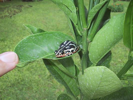 slideshow image